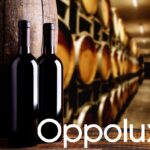 Bodegas Españolas